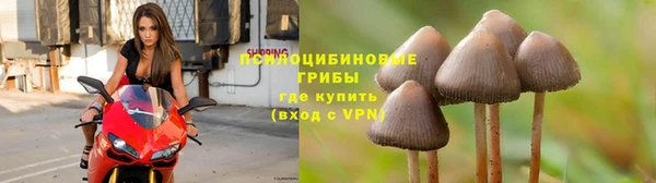 2c-b Белоозёрский