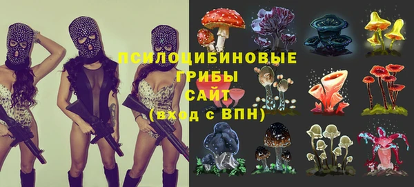 mix Дмитров