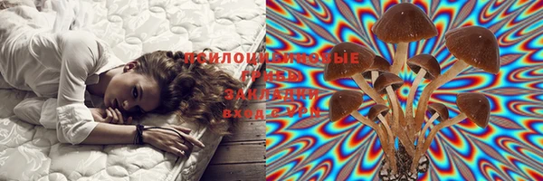 стаф Белокуриха