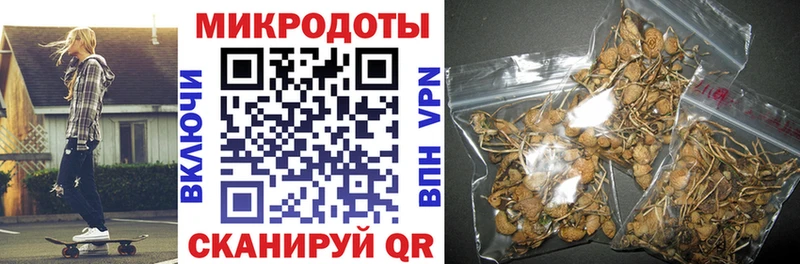 Галлюциногенные грибы Psilocybe как найти закладки OMG зеркало Бугульма