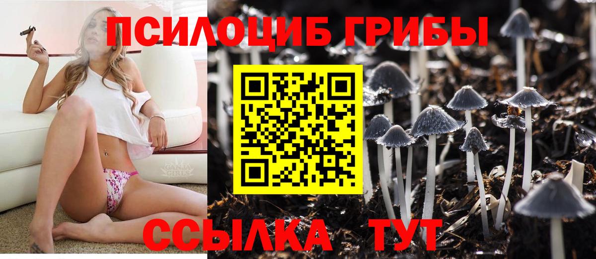 Псилоцибиновые грибы Magic Shrooms  Псилоцибиновые грибы Magic Shrooms  Бугульма 