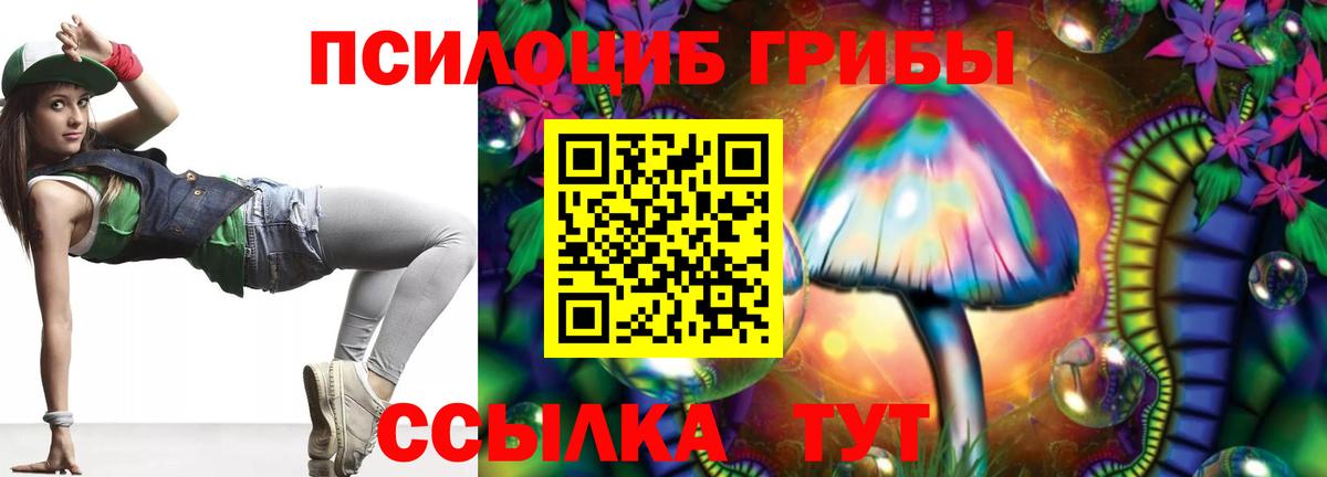 Галлюциногенные грибы Psilocybe Бугульма